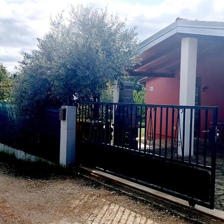 Studio Nena Rovinj Exteriör bild